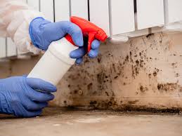 Best Mold Prevention Services in Easton, MD